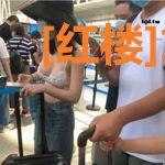 [红楼]黛玉管家日常