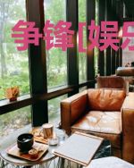 争锋[娱乐圈]