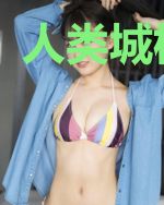 人类城机器城