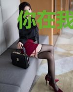 你在我沿途的风景里