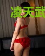 凌天武神帝