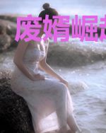 废婿崛起系统