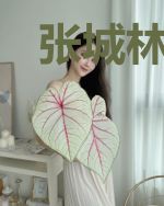 张城林紫曼