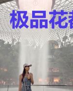 极品花都神医