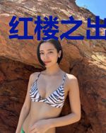 红楼之出将入相