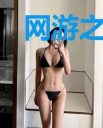 网游之翔天