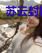 苏云封段雪柔