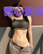 赤心巡天之秦颂