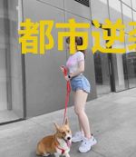都市逆袭人生