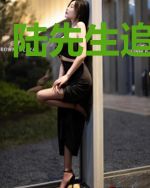 陆先生追妻日常