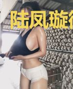 陆凤璇御迟胤