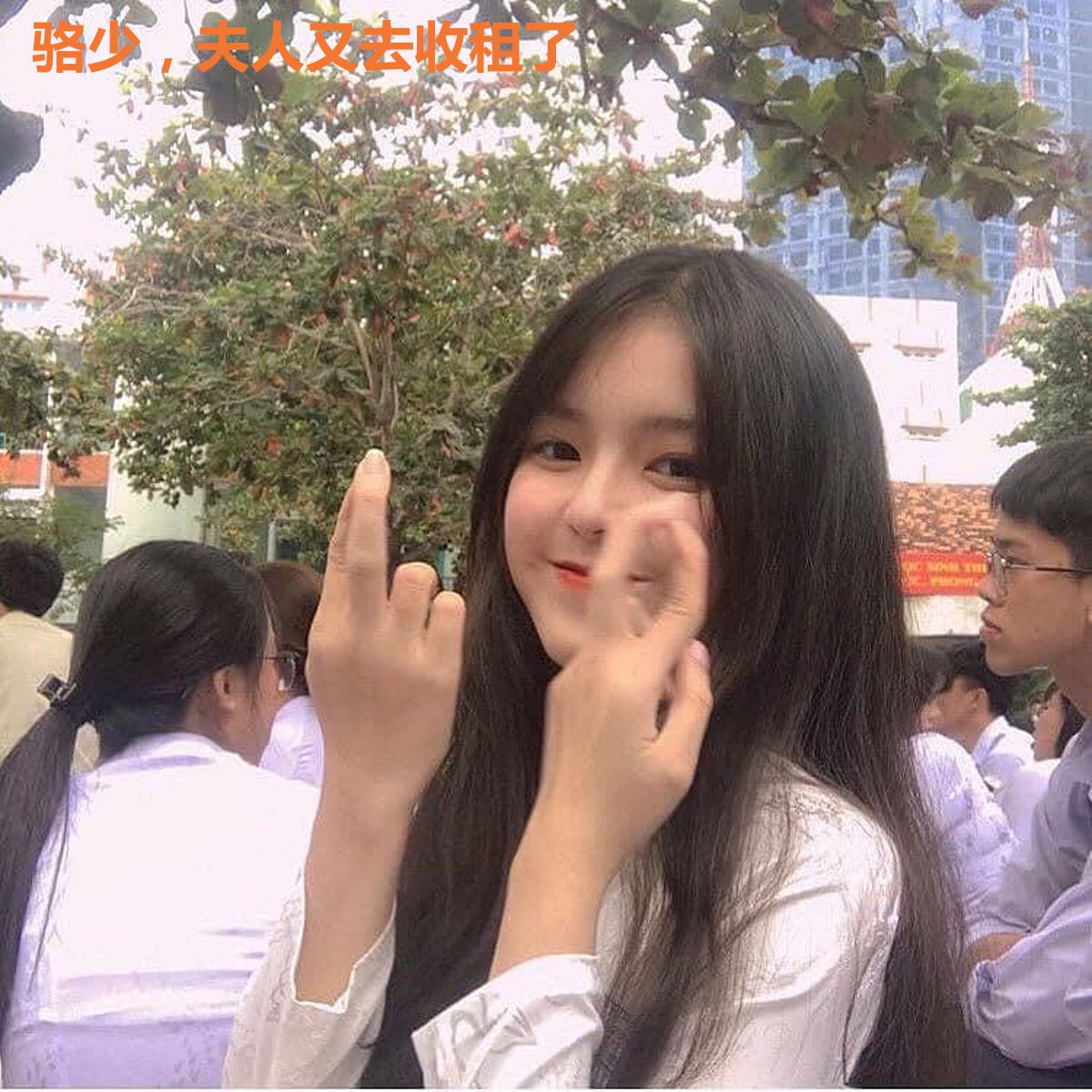 骆少，夫人又去收租了