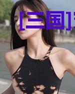[三国]穿到同人游戏肿么破