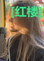 [红楼]贾疯子