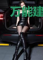 万能建筑之王