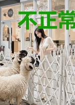 不正常龙类养成日记