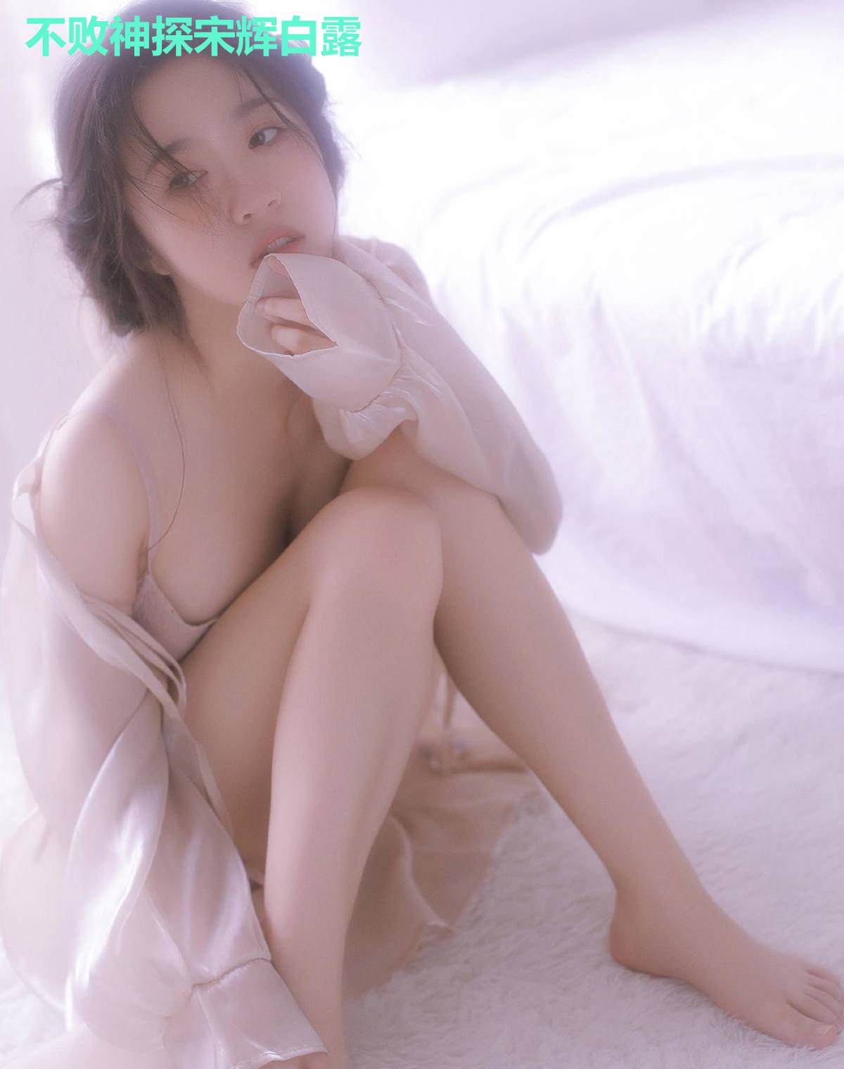 不败神探宋辉白露