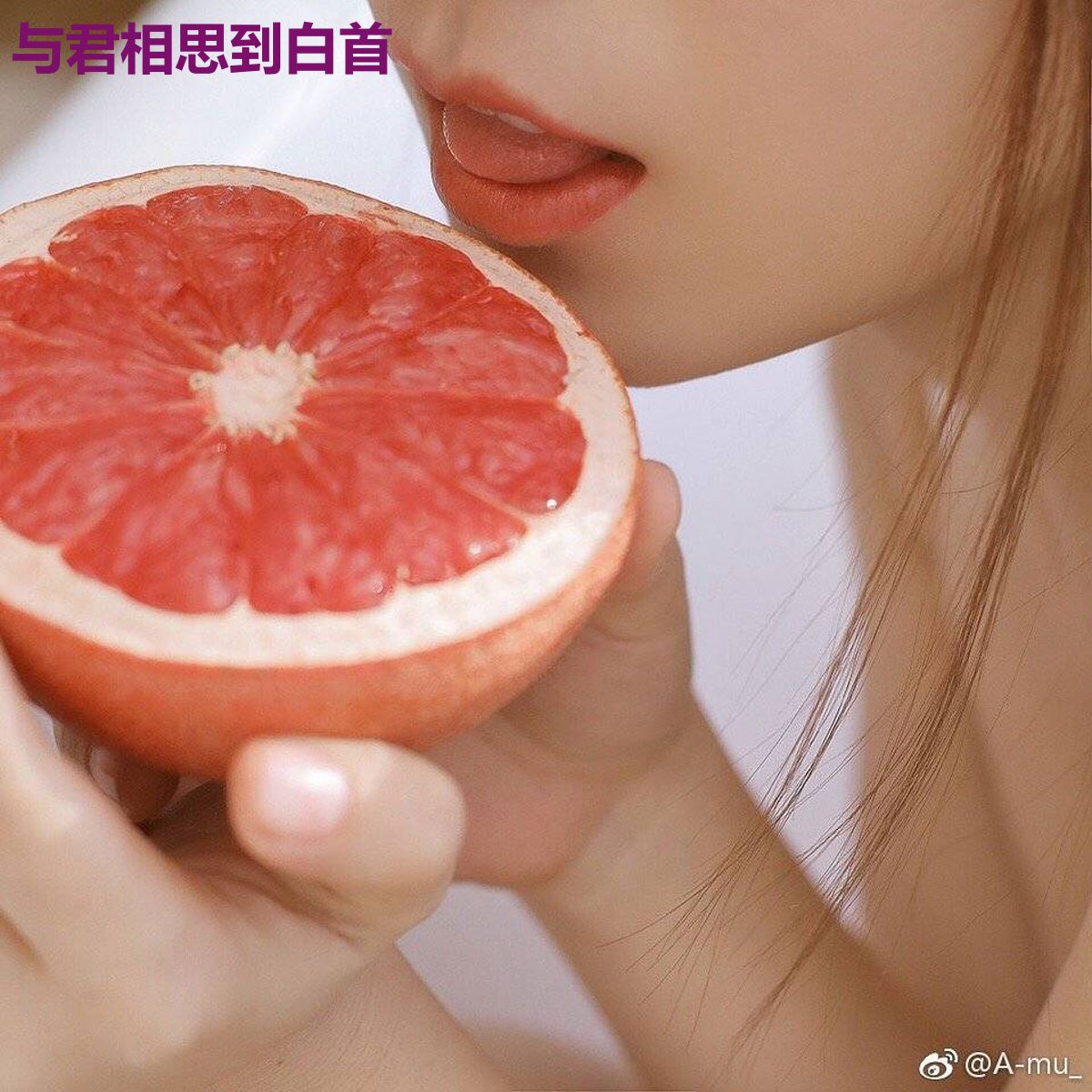 与君相思到白首