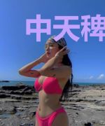 中天稗史:帝位纷争