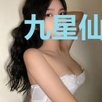 九星仙侠剑