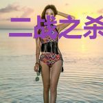 二战之杀手之王