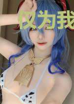 仅为我而战的英雄