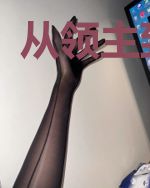 从领主到皇帝