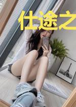 仕途之风云再起
