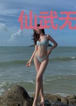 仙武无极叶无极舞青雪