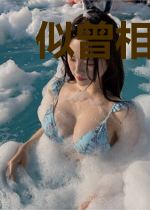似曾相识剑归来