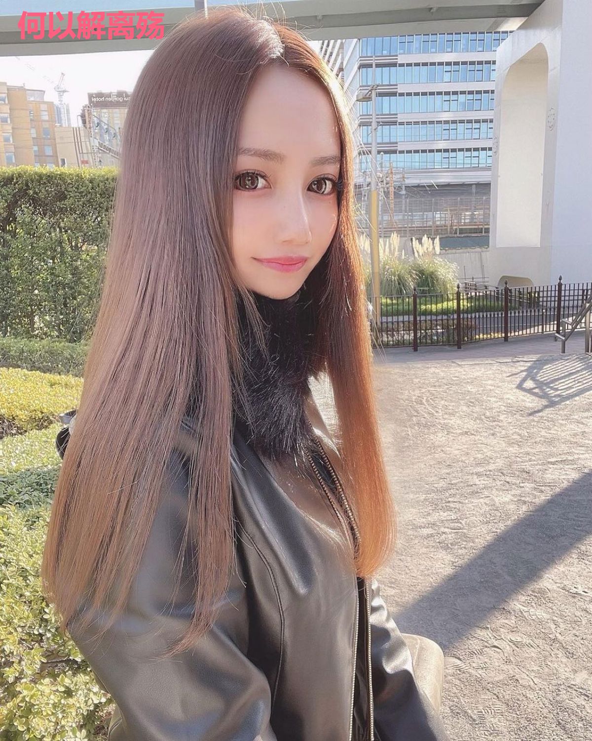 何以解离殇