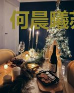 何晨曦苏晓菲