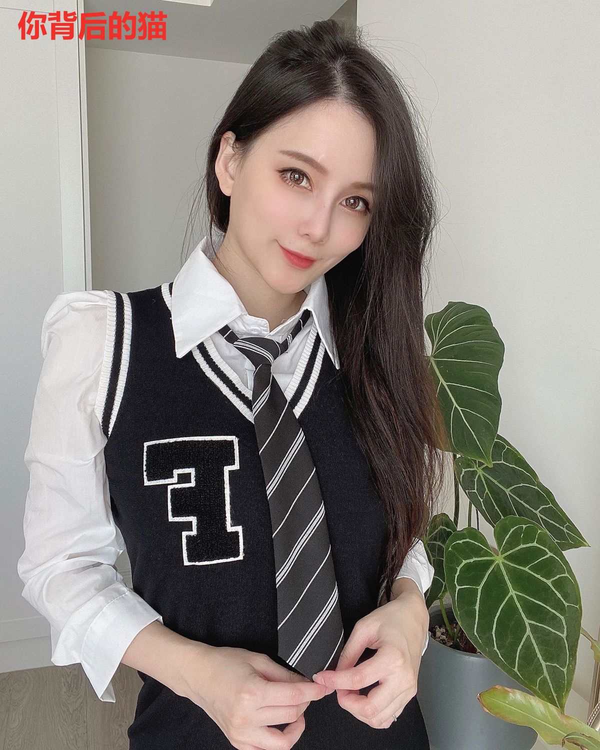 你背后的猫