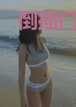 倒插门王动