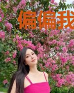 偏偏我要靠近你宋佳唐煜