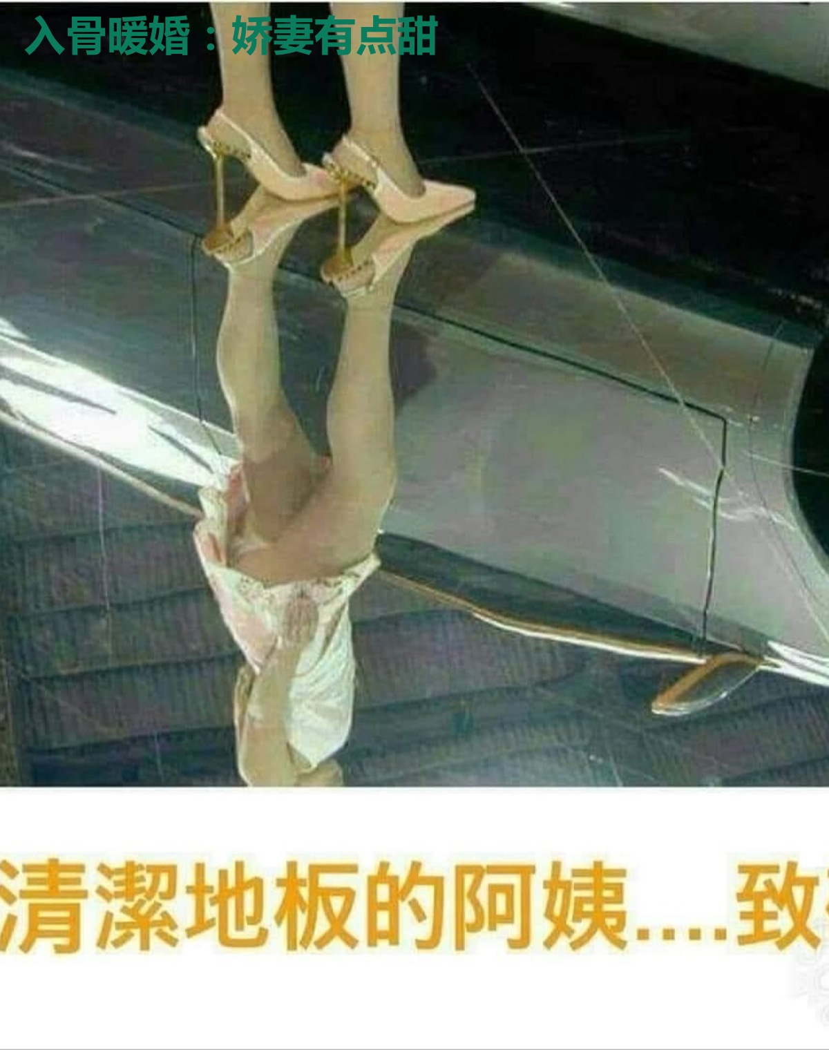 入骨暖婚：娇妻有点甜