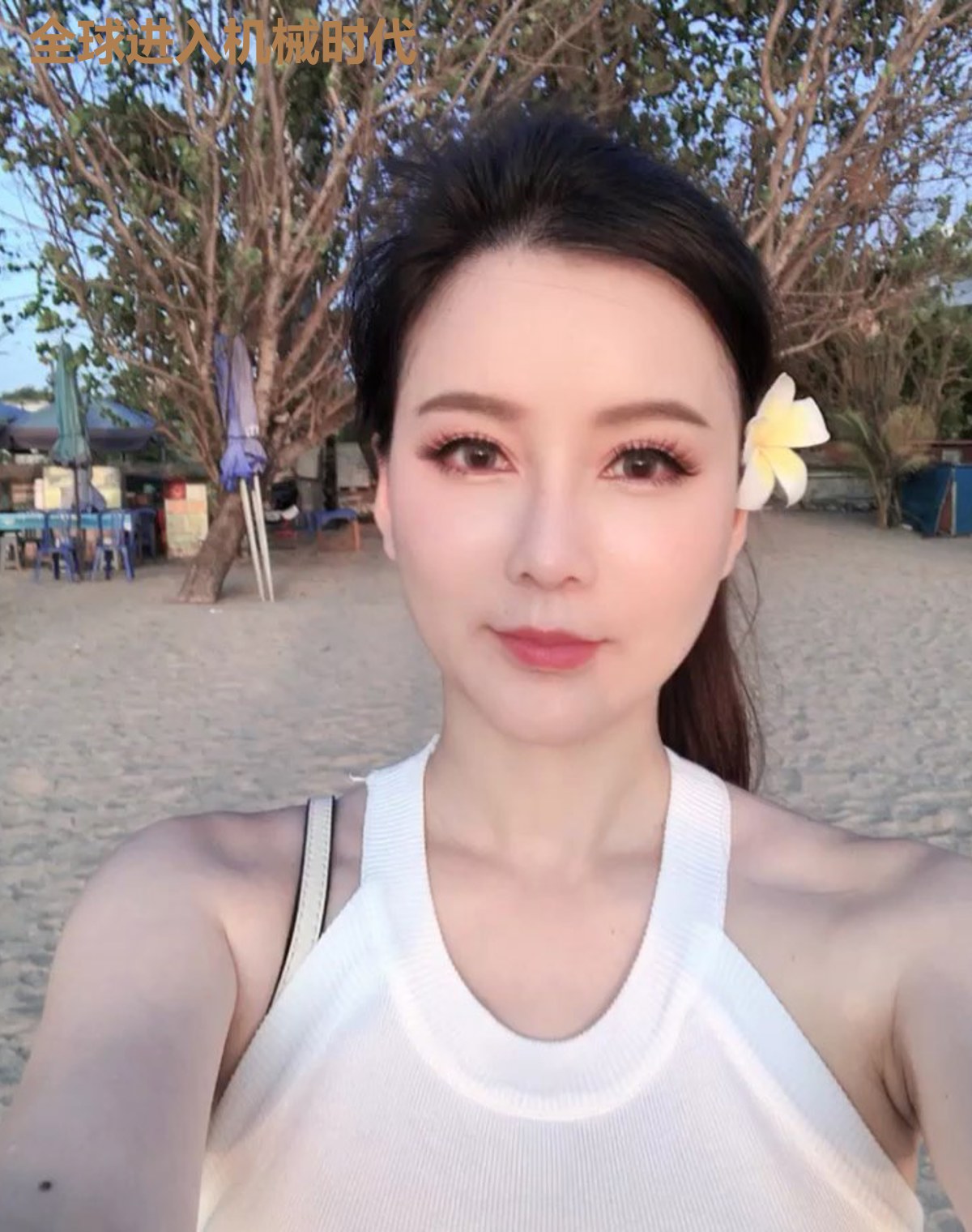 全球进入机械时代