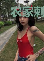 农家刺绣师