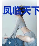 凤临天下之灵契