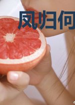 凤归何处识锦来