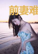 前妻难宠，总裁追妻A计划