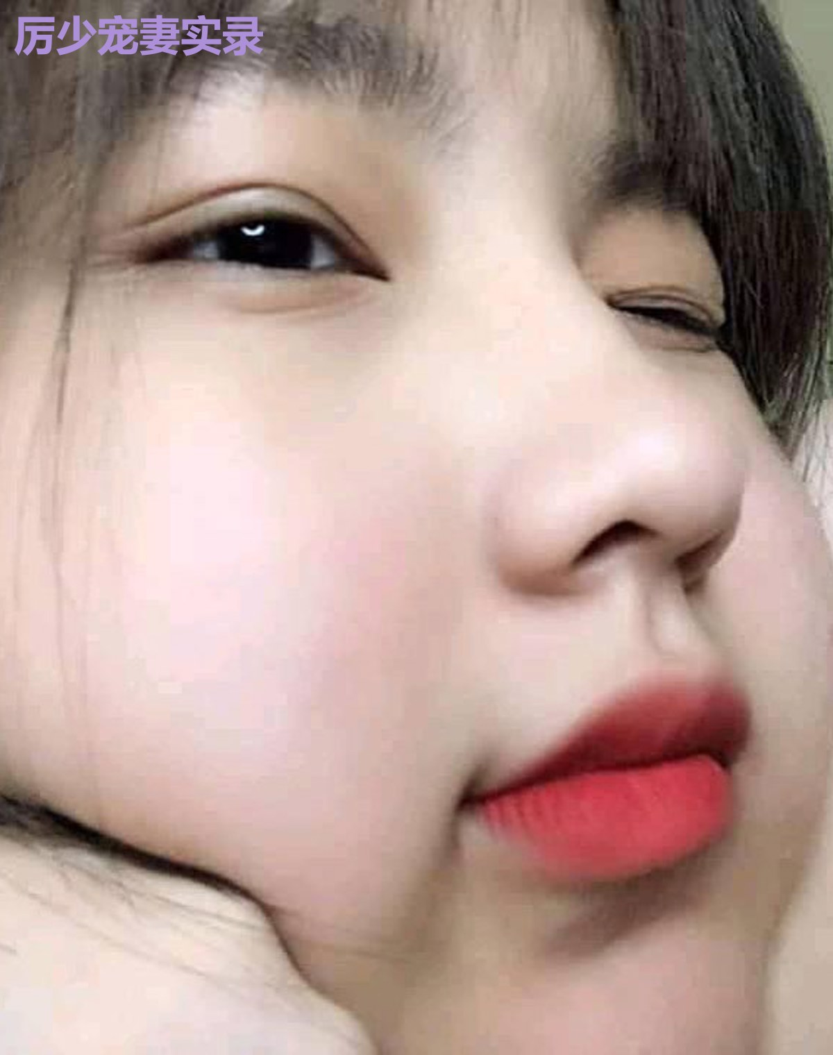 厉少宠妻实录