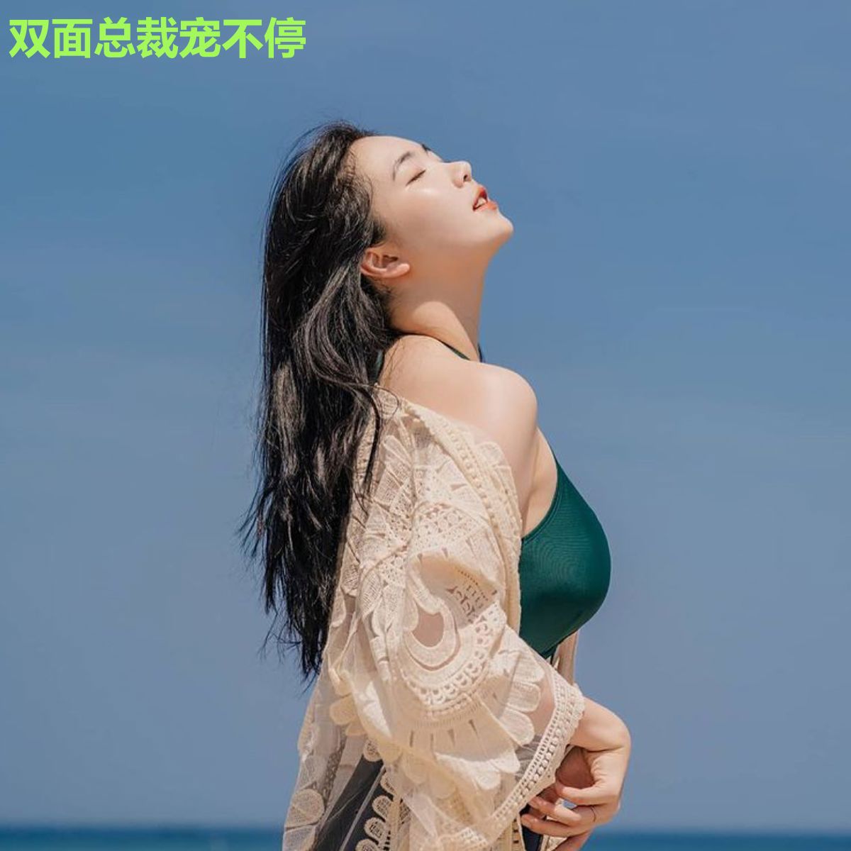 双面总裁宠不停