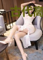古代高手现代警察