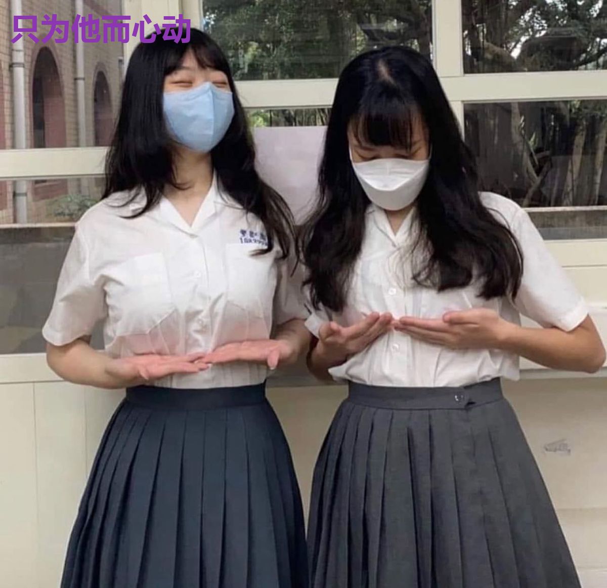 只为他而心动