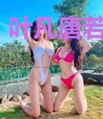 叶凡唐若雪王婿