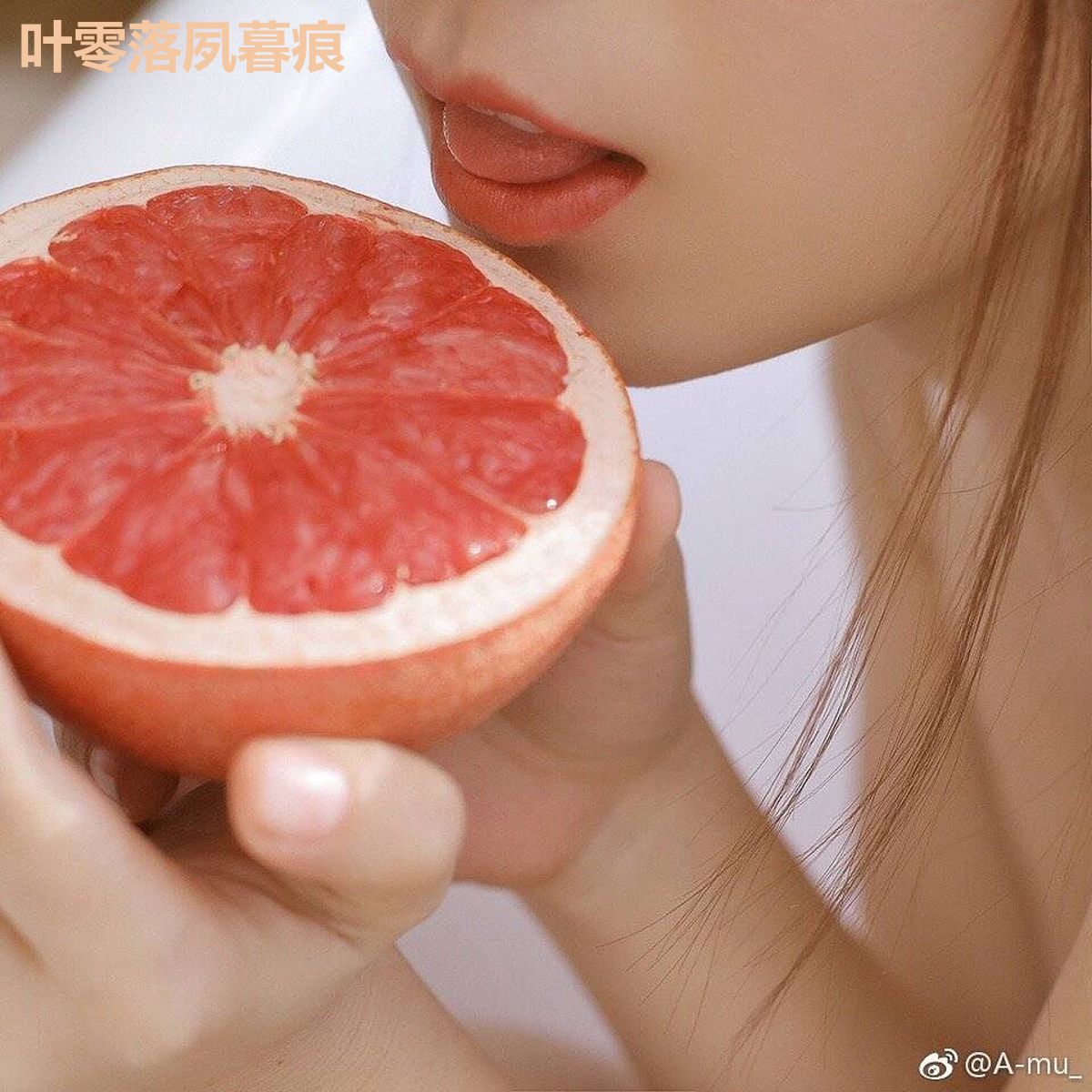 叶零落夙暮痕