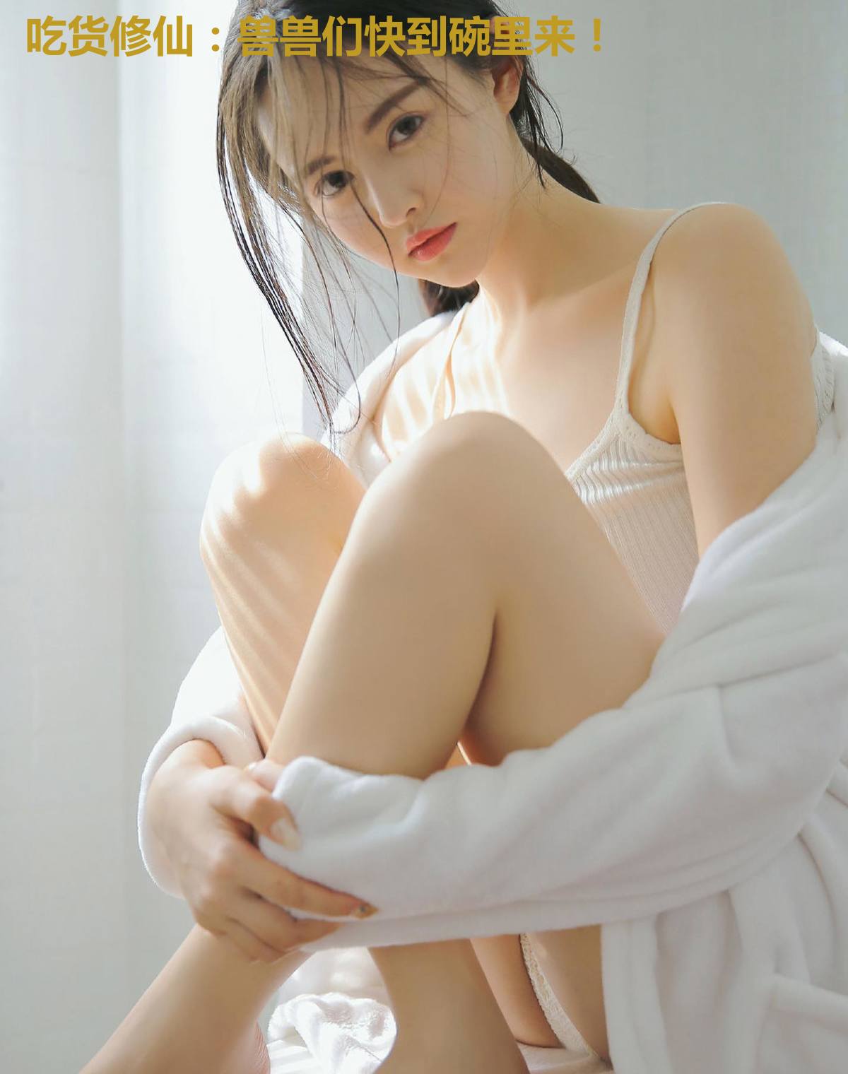 吃货修仙：兽兽们快到碗里来！