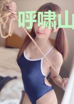 呼啸山海纪