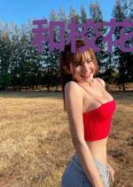 和校花的幸福生活